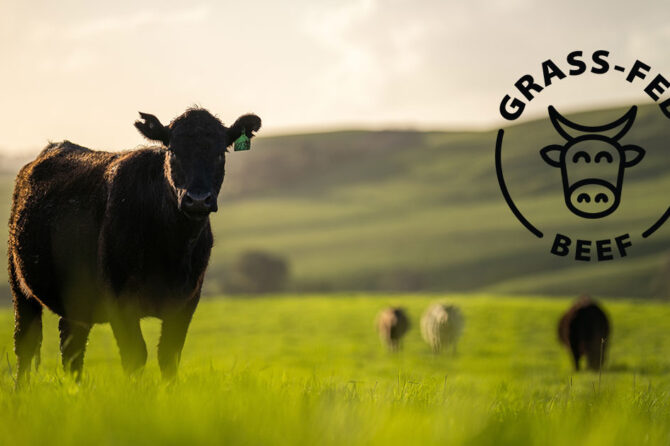 Is Grass-Fed Meat Worth The Price?